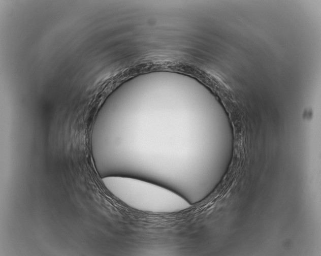 X0000090720917200707201010