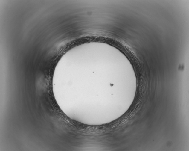 X0000090720918200707201010