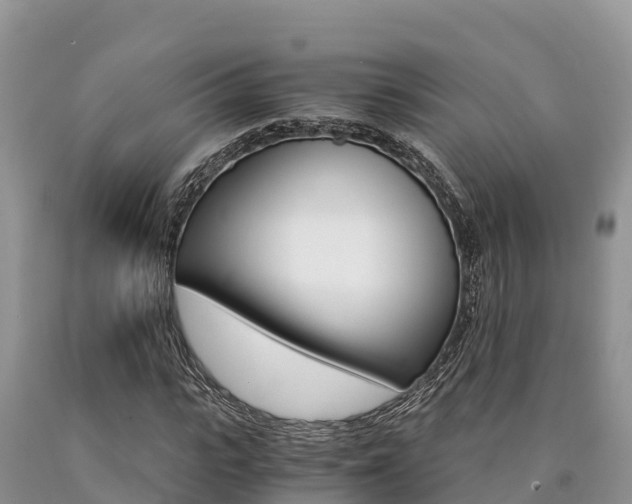 X0000090720919200707201010