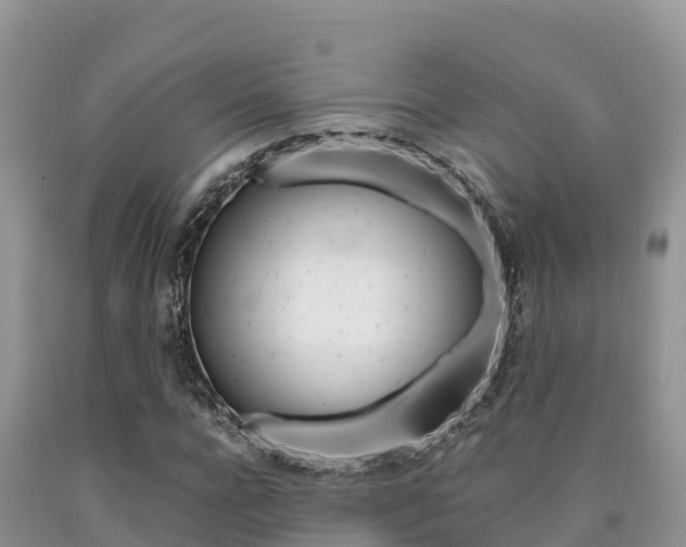 X0000090720920200707201010