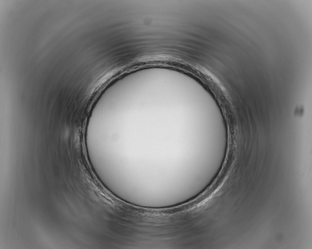 X0000090720921200707201010