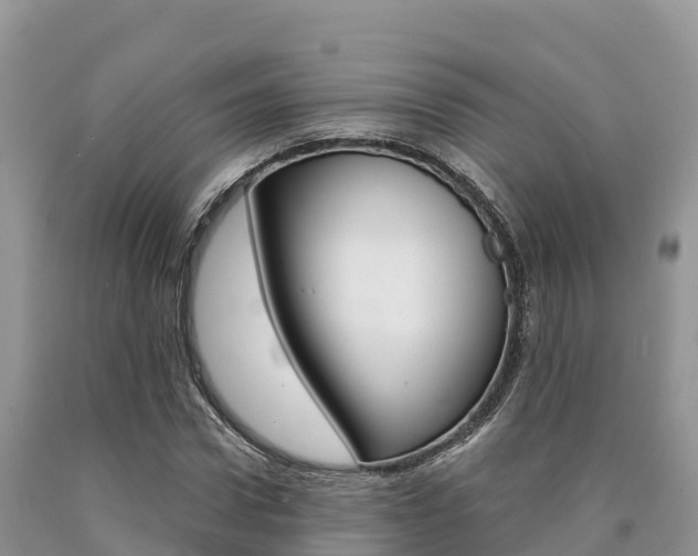X0000090720922200707201010
