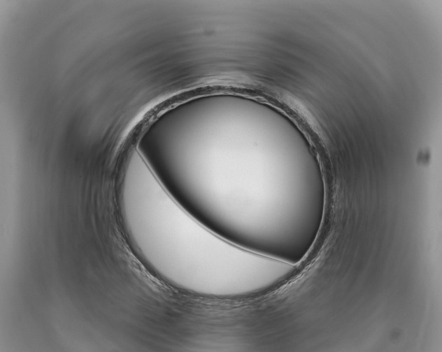 X0000090720923200707201010