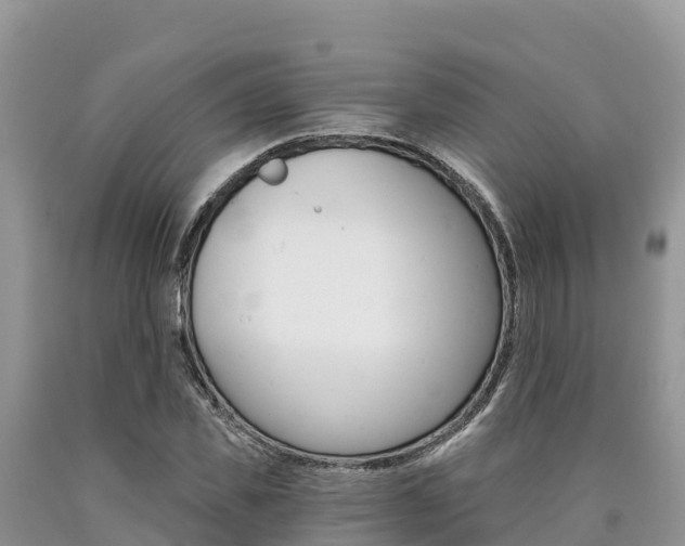 X0000090720925200707201010