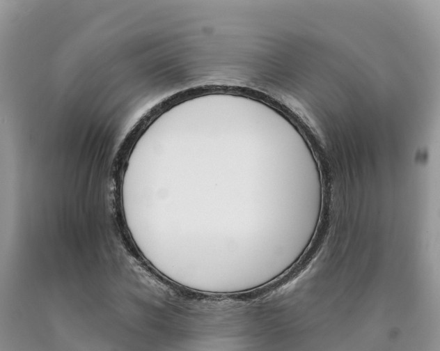 X0000090720926200707201010