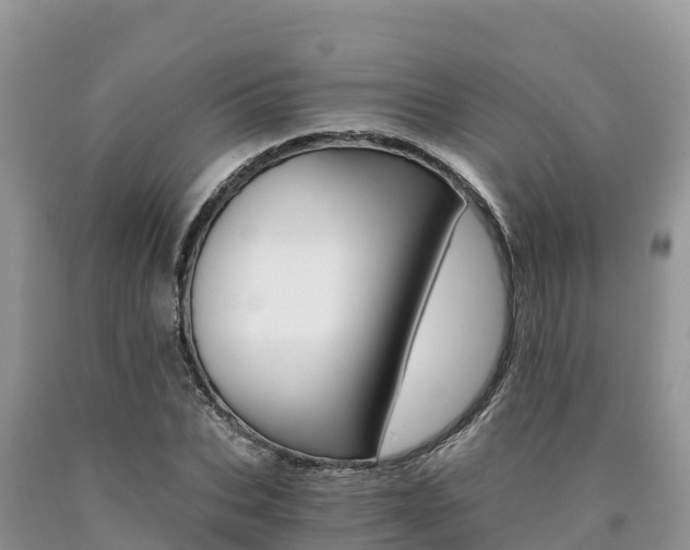 X0000090720927200707201010