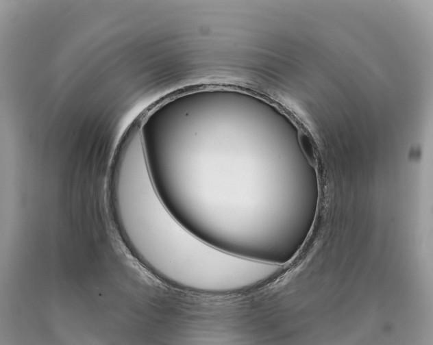 X0000090720928200707201010