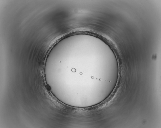 X0000090720929200707201010