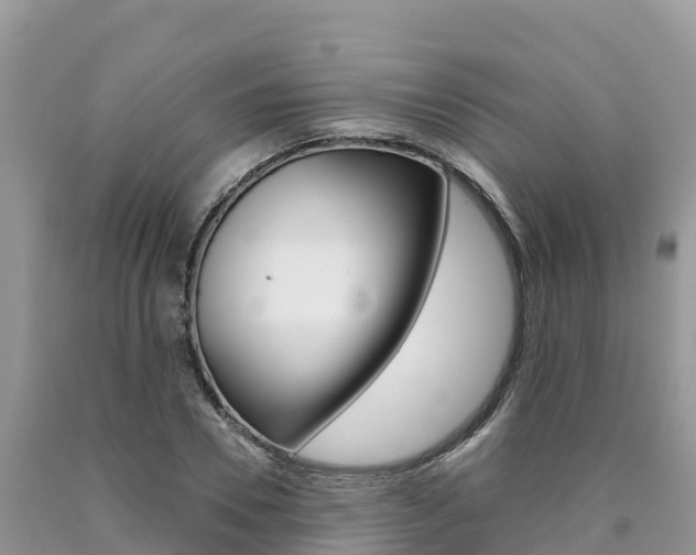 X0000090720930200707201010
