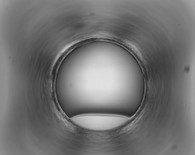 X0000090720931200707201010