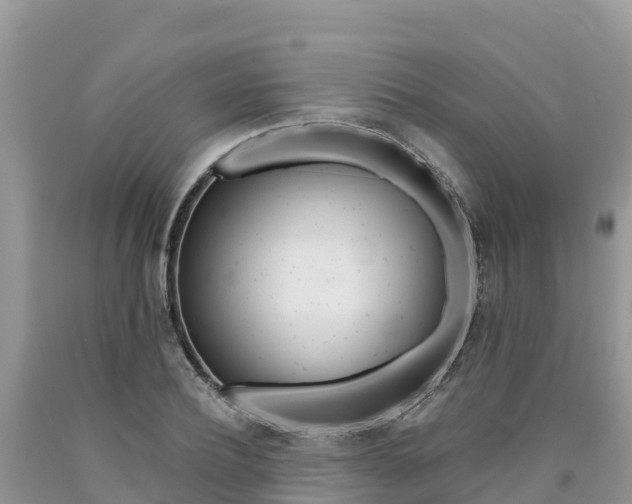 X0000090720932200707201010