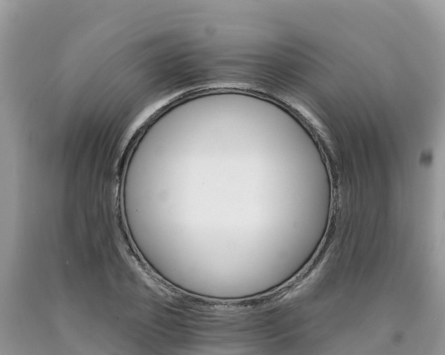 X0000090720933200707201010