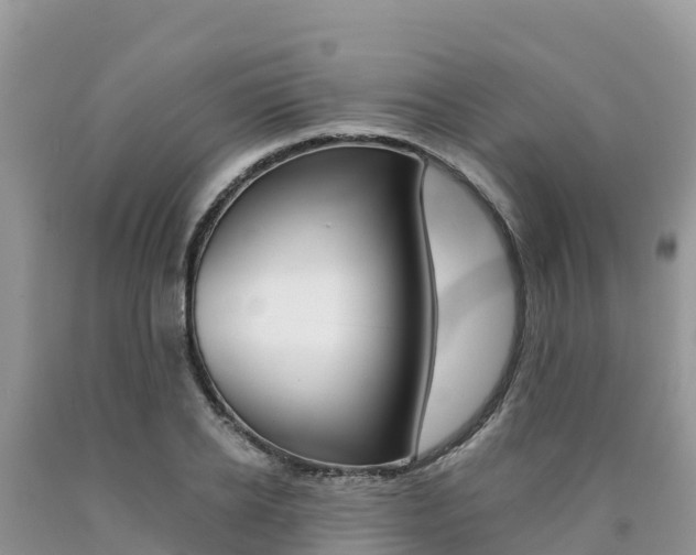 X0000090720934200707201010