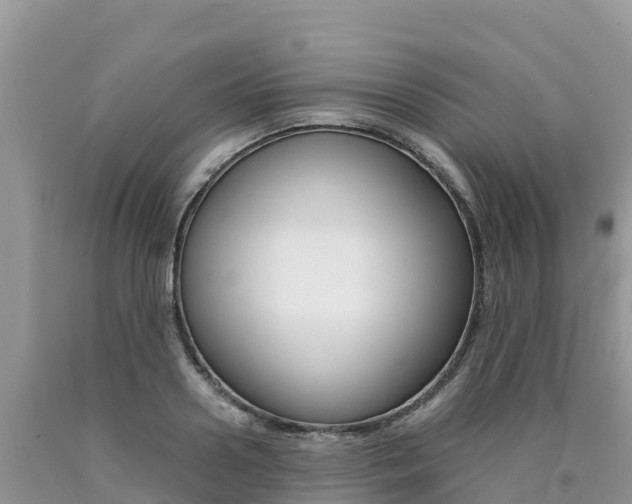 X0000090720938200707201010