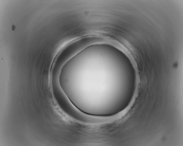 X0000090720940200707201010