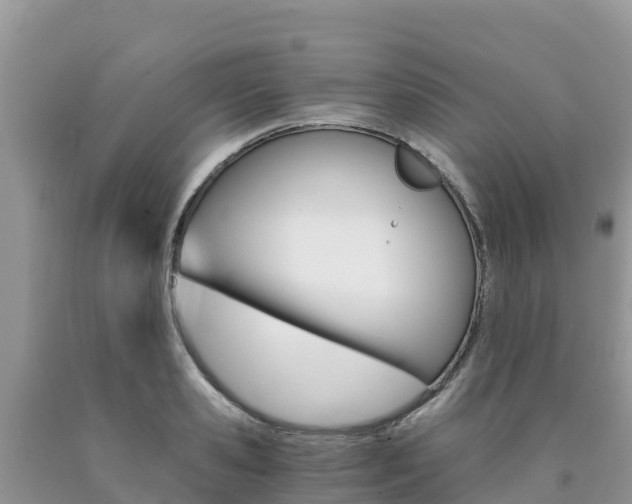 X0000090720941200707201010