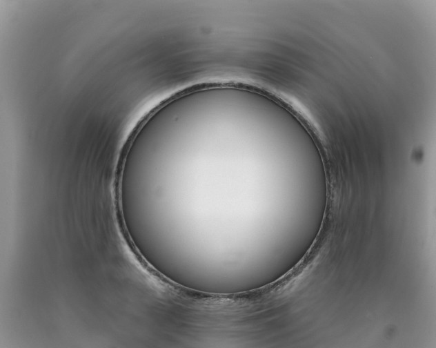 X0000090720943200707201010