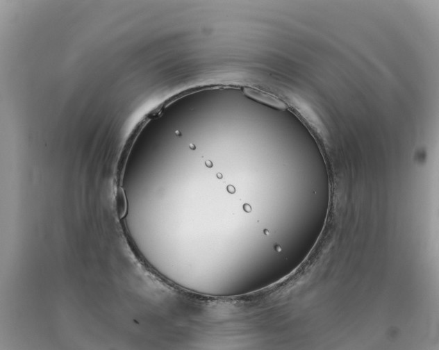 X0000090720944200707201010