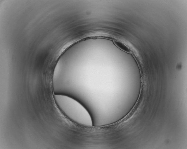 X0000090720945200707201010