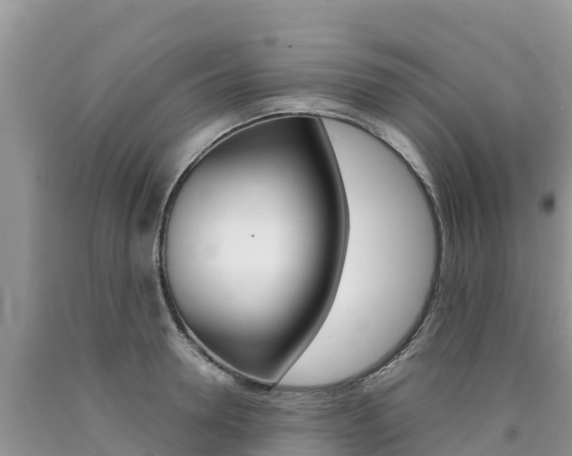 X0000090720946200707201010