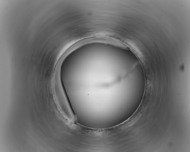 X0000090720948200707201010