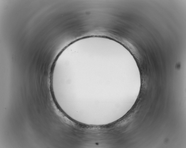 X0000090720950200707201011
