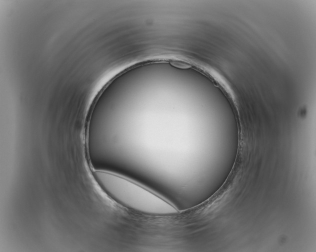 X0000090720951200707201011