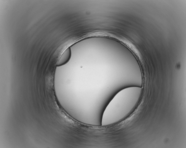 X0000090720953200707201011