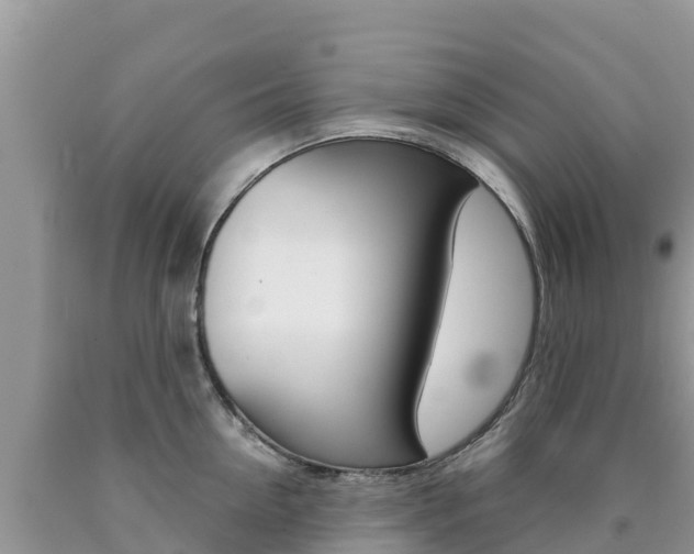 X0000090720954200707201011