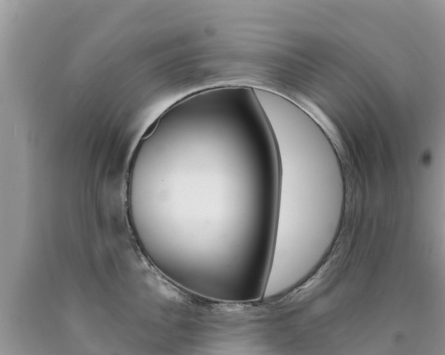 X0000090720956200707201011