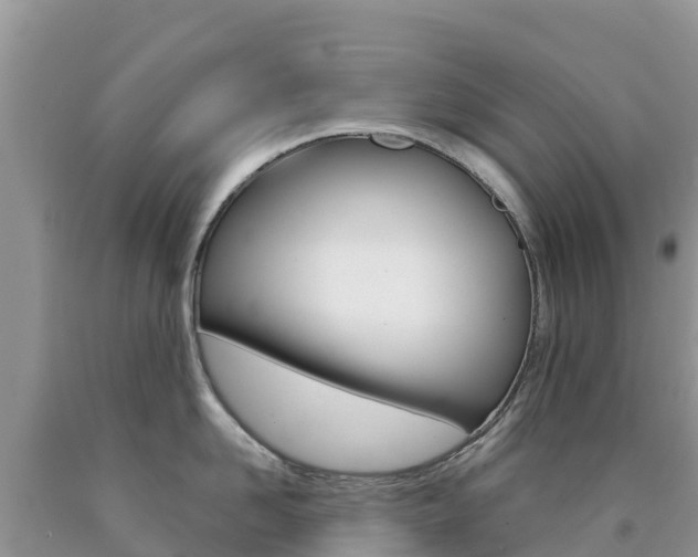 X0000090720958200707201011