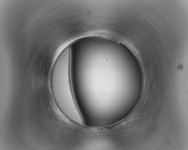 X0000090720960200707201011