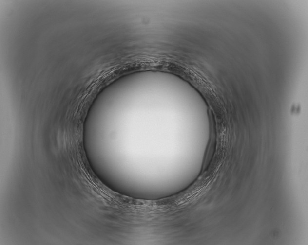 X0000090720961200707201010