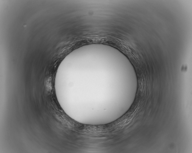 X0000090720962200707201010