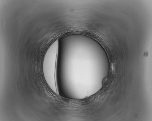 X0000090720963200707201010