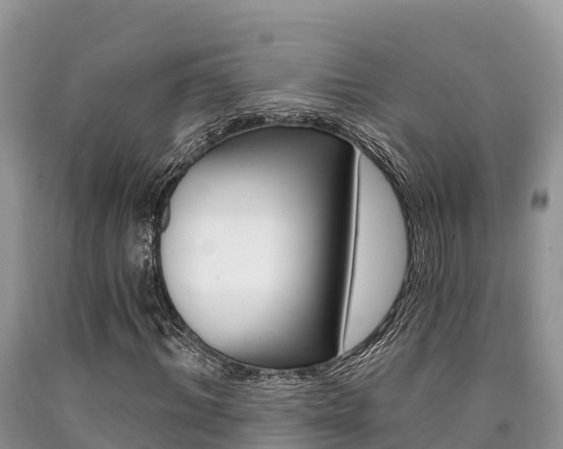 X0000090720964200707201010