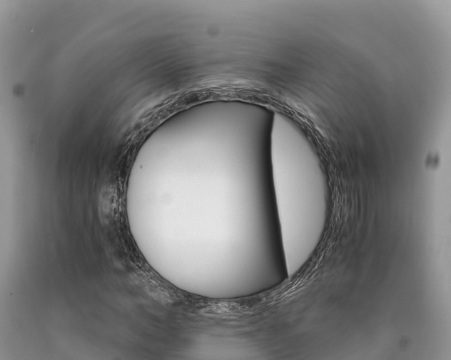X0000090720966200707201010