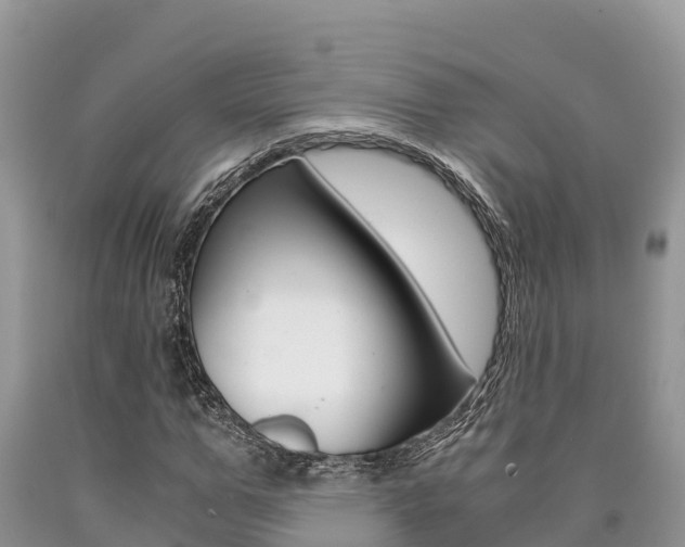 X0000090720967200707201010