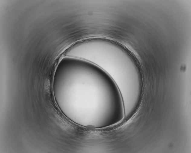 X0000090720969200707201010
