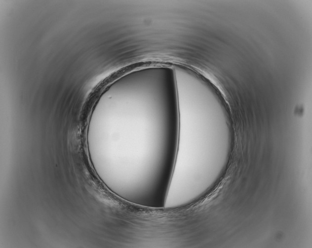X0000090720971200707201010
