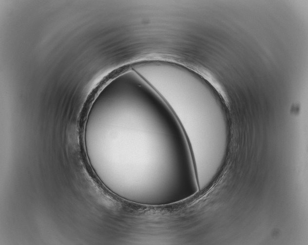 X0000090720972200707201010
