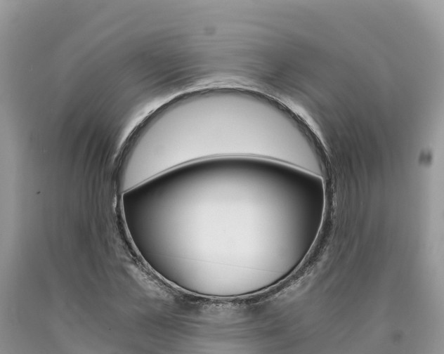 X0000090720973200707201010