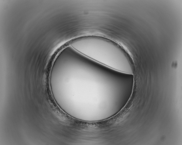 X0000090720975200707201010