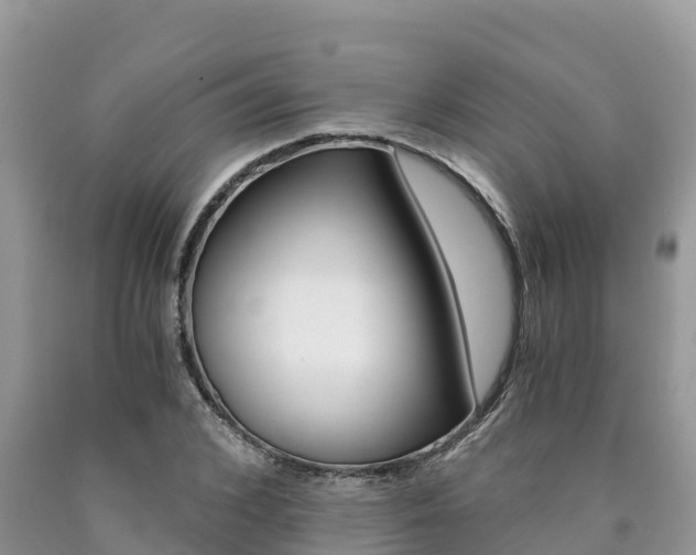 X0000090720976200707201010