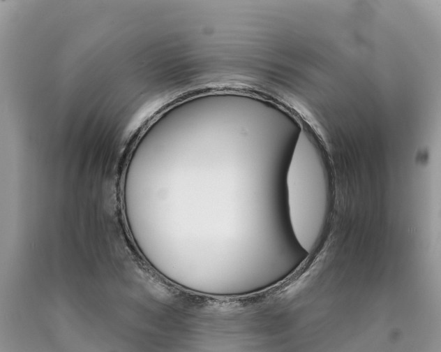 X0000090720978200707201010