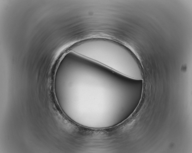 X0000090720979200707201010