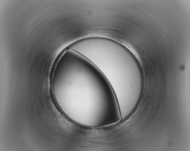 X0000090720980200707201010