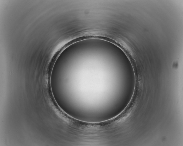 X0000090720981200707201010
