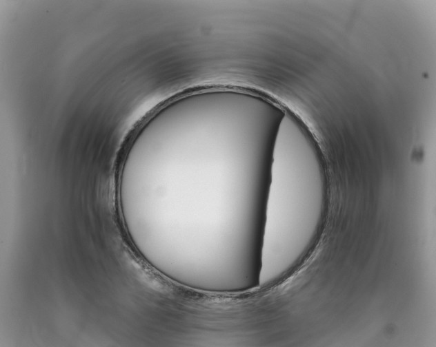 X0000090720982200707201010