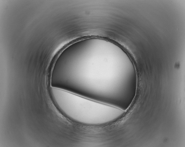X0000090720983200707201010